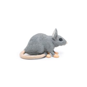 SOURIS GRISE