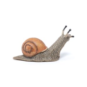 ESCARGOT
