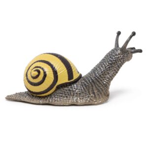 ESCARGOT DES BOIS
