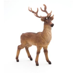 CERF