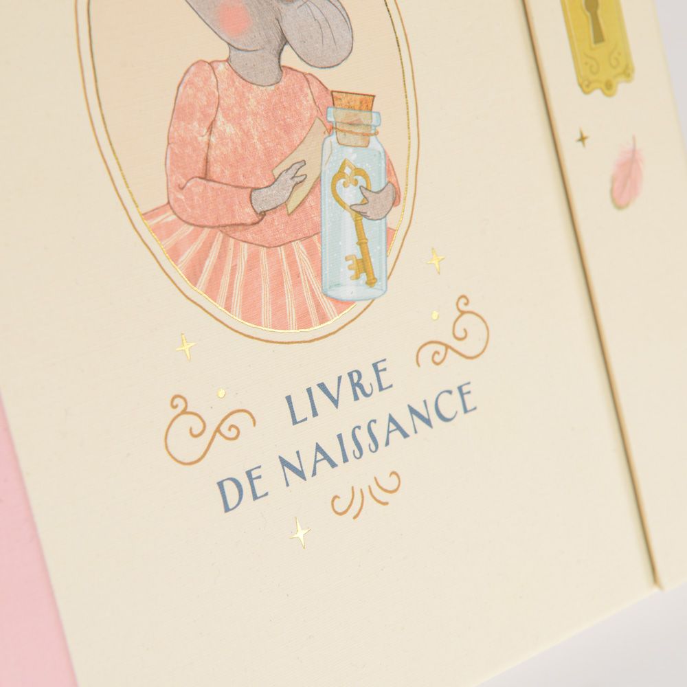 LIVRE DE NAISSANCE PETITE ECOLE DE DANSE – Image 3