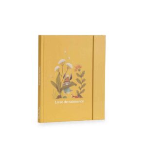 LIVRE NAISSANCE TROIS PETITS LAPINS