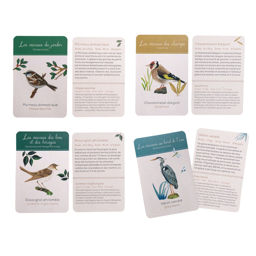 Coffret découverte oiseaux - Le jardin du moulin – Image 3