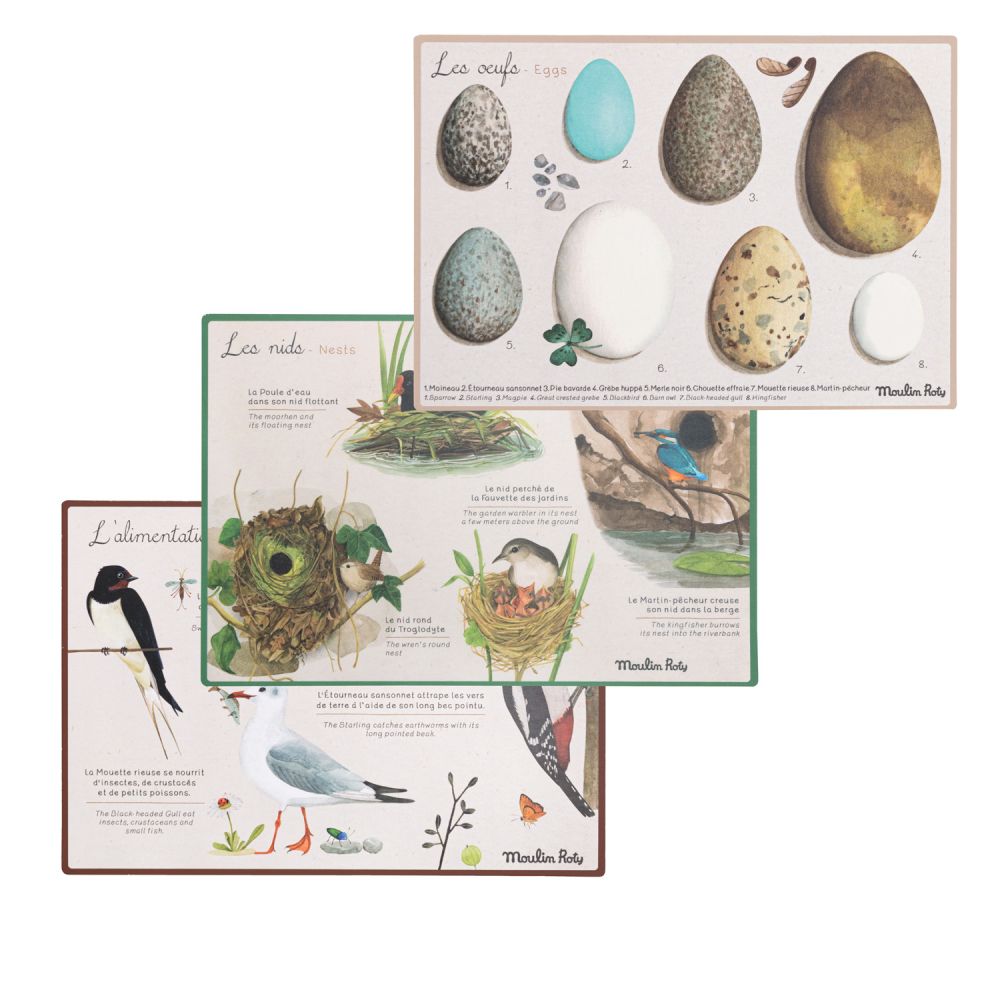 Coffret découverte oiseaux - Le jardin du moulin – Image 4
