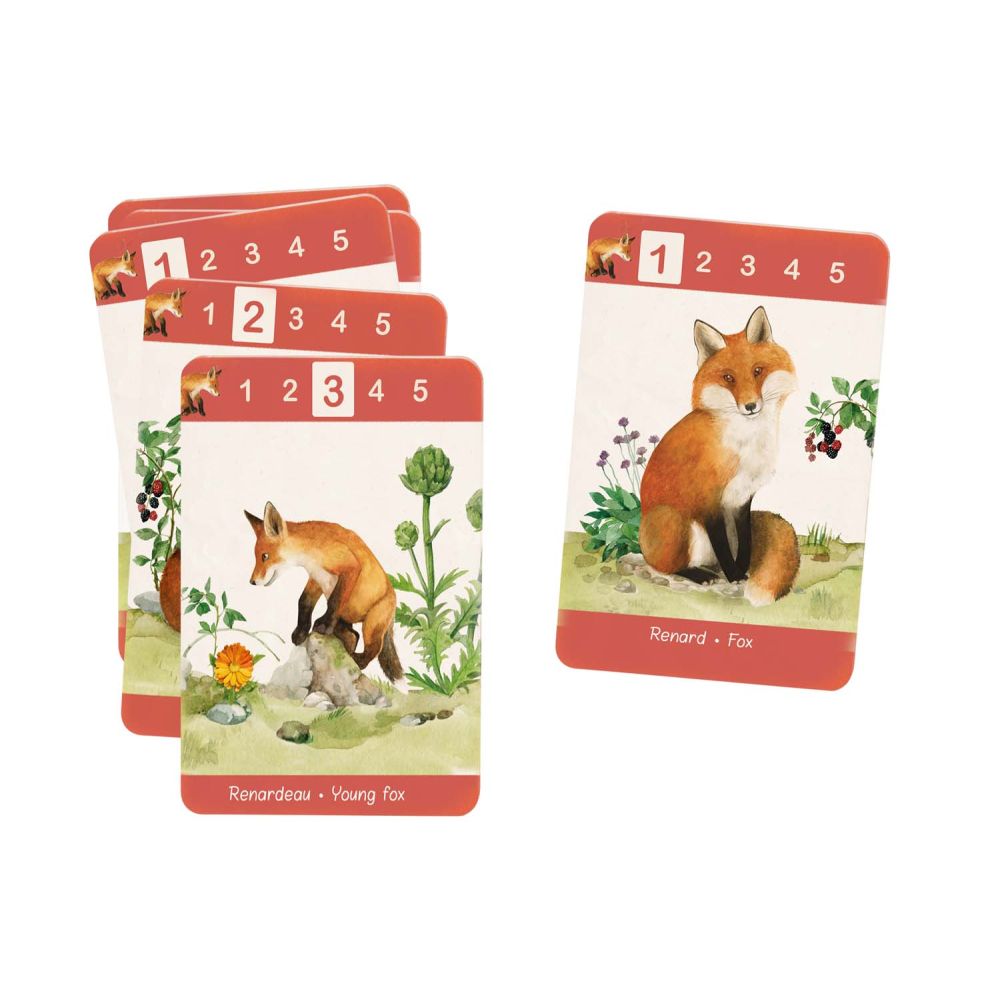 Jeu de 7 familles Le jardin – Image 3