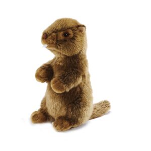 PELUCHE MARMOTTE 18CM