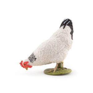POULE PICORANT