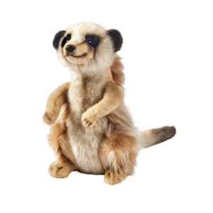 Suricate 22cmH
