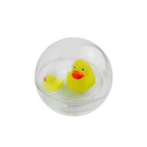 Bulle d’eau -  Famille canard