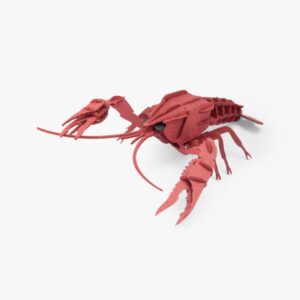 Puzzle 3D Écrevisse - Tout autour du monde